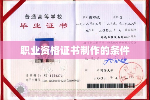 成武职业资格证书制作的条件